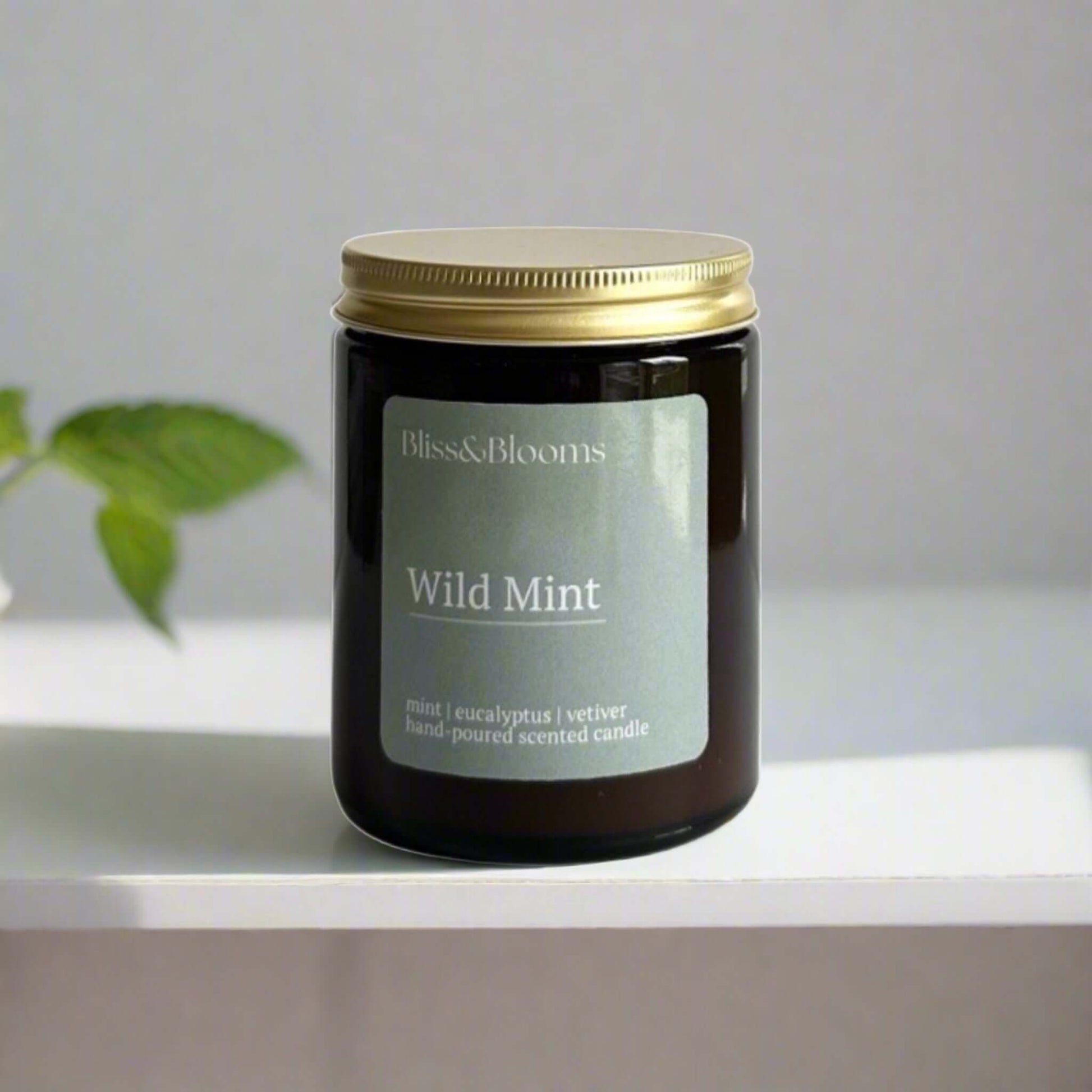 Wild Mint - A Wild Mint aroma candle is an accurate rendition of fresh-crushed garden mint, with an understated addition of white tea. A captivating combination of peppermint,eucalyptus and lemon is perfect for any space seeking a touch of natural freshne