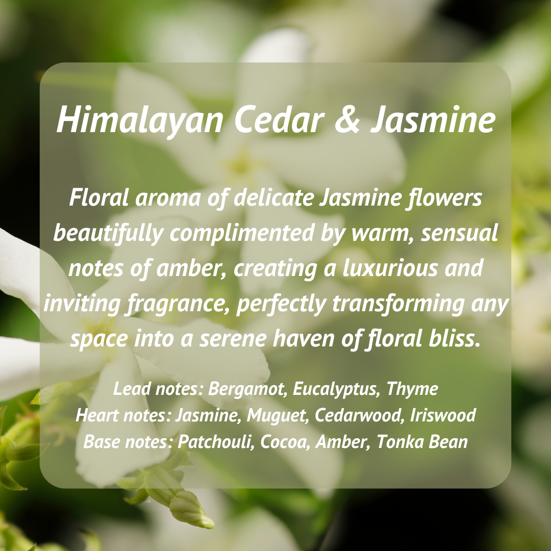 Himalayan Cedar & Jasmine Scented Wax Melts