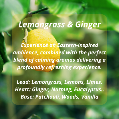 Lemongrass & Ginger Scented Candle