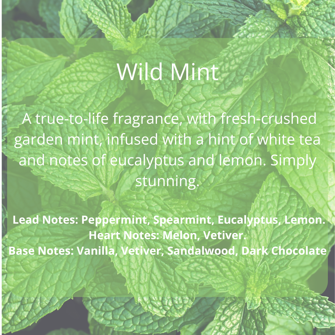 Wild Mint Scented Candle