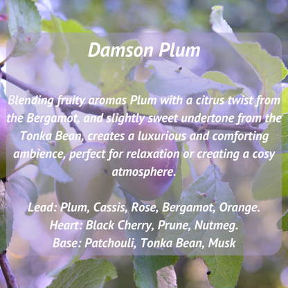 Damson Plum Scented Candle